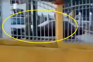 VIDEO: Ebrio sujeto colisiona contra patrulla auxiliar en Zacapoaxtla