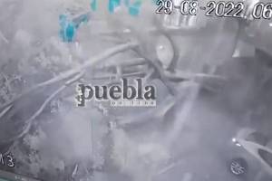 VIDEO: Así cayó árbol sobre caseta de periódicos dejando un niño muerto en Puebla