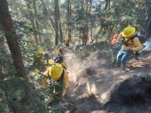 Tlachichuca y Tianguismanalco, los municipios más afectados por incendios forestales