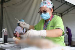 SSA realiza esterilización de mascotas en Hueytamalco durante &quot;Martes Ciudadano&quot;