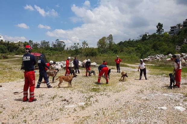 Cruz Roja Puebla, sede de entrenamiento regional de Binomios Caninos de Búsqueda y Rescate
