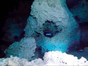 Cenote de Tulum revela secretos de hace 10 mil 500 años