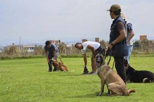 Ayuntamiento de Cuautlancingo realizó exhibición de perros de búsqueda y protección