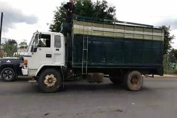 Ubican en Tehuacán a poco más de 60 migrantes en una camioneta