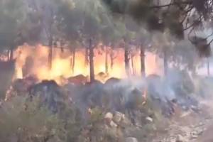 PC reporta incendios en sierra nororiental, La Malinche y Guadalupe Victoria