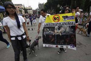 Se duplican casos de maltrato animal en Puebla