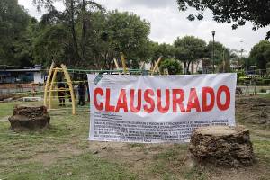 VIDEO/FOTOS: Clausura Medio Ambiente corte de palmeras en Analco y Avenida Juárez