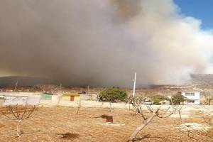 Incendio forestal se registró en la zona de Tepexi de Rodríguez