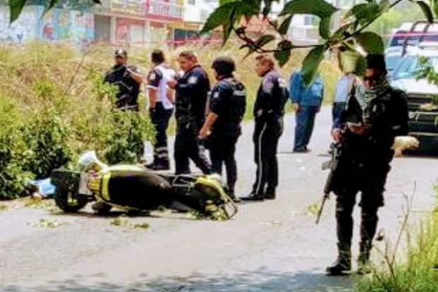 Mujer murió aplastada por un árbol cuando manejaba su motocicleta en Texmelucan