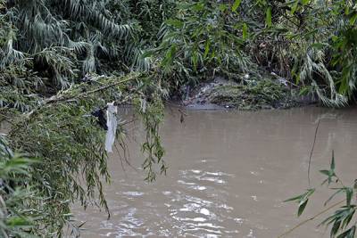 Sector textil y gobierno estatal pactan coadyuvar en el saneamiento del río Atoyac