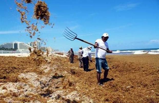 Con AMLO, turismo de mexicanos en el país, a la baja