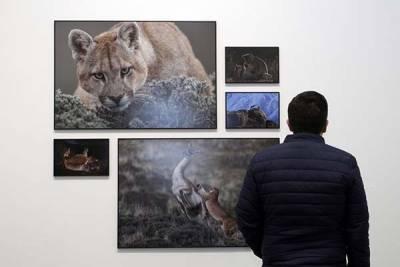 Puebla exhibe las mejores 140 fotografías del periodismo global