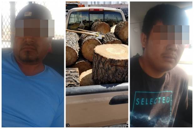 Detienen a taladores con carga de madera en Nopalucan