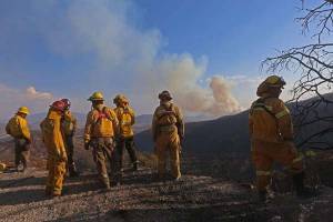 México sufre 106 incendios forestales en 21 estados: Conafor