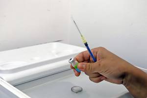 Secretaría de Salud Puebla llama a la población vulnerable a vacunarse contra la influenza