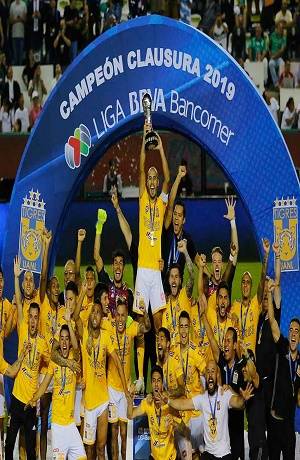 Liga MX: Tigres es el campeón del Clausura 2019