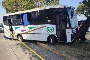 Camión de la Ruta Flecha Verde deja 14 heridos al colisionar contra un árbol