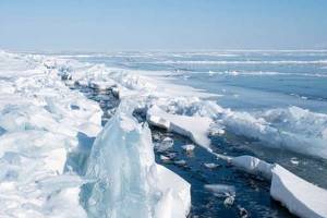 ¡Alarma mundial! Se derrite el último bastión de hielo en el Ártico