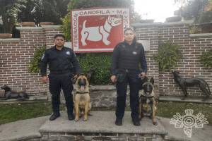 Agentes caninos de Puebla son condecorados como los mejores de 2022