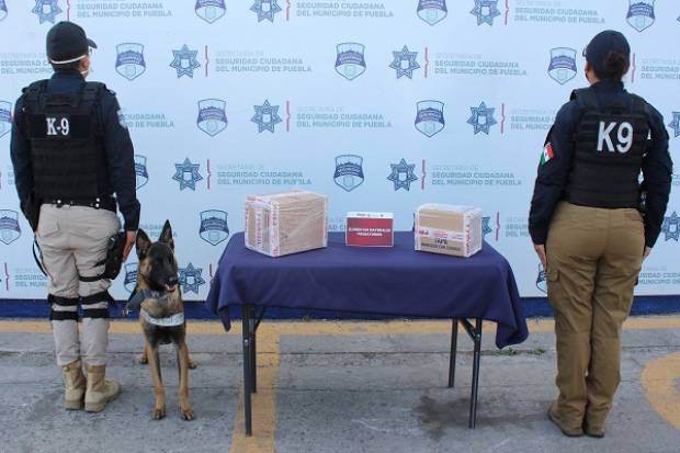 Grupo K9 de Seguridad Ciudadana localizó paquete con marihuana en la CAPU