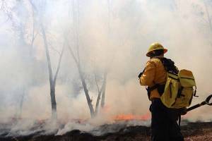 317 incendios forestales en Puebla, de enero a junio de este año: Medio Ambiente