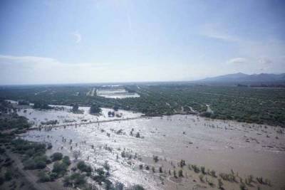 Hanna dejó 9 mil damnificados en Coahuila; AMLO los ignora