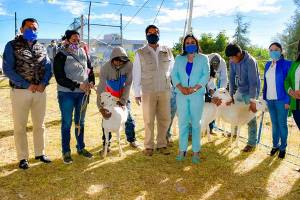 Lupita Daniel entregó 300 cabezas de ganado ovino en Cuautlancingo