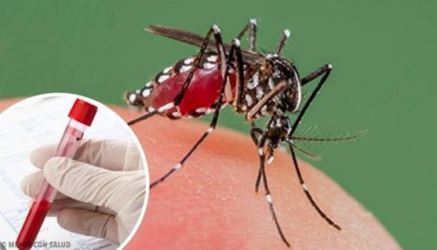 Gobierno de AMLO no compró insecticida por ocho meses y repunta dengue