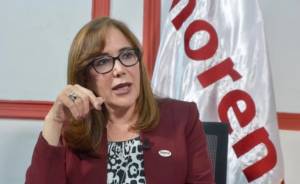 Yeidckol pide suspender asambleas distritales de Morena en Puebla y 10 estados más