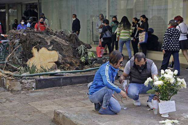 Fiscalía de Puebla ya investiga muerte de menor por caída de árbol