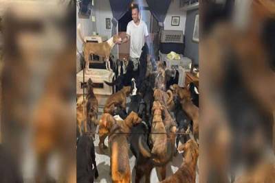 Este es el héroe que albergó a perros y gatos por el huracán Delta