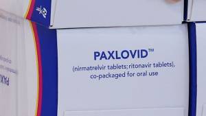 Paxlovid sólo será dotado por sector público, no está a la venta: SSA