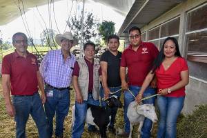 Ayuntamiento de Cuautlancingo entrega 400 cabezas de ganado ovino a familias vulnerables