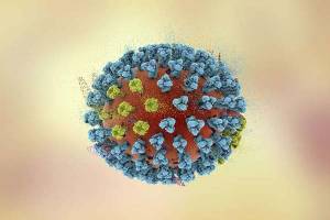 ¿Qué es el H5N8, el nuevo virus que amenaza al mundo?