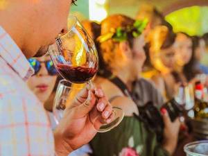 La gran fiesta del vino mexicano en Ensenada 2019