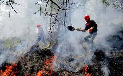 AMLO recortó fondos para el combate de incendios forestales, acusa la oposición
