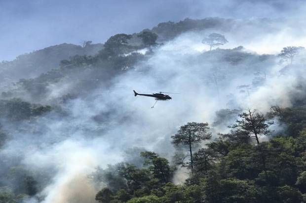 Todo el peso de la ley contra provocadores de incendios forestales en Puebla