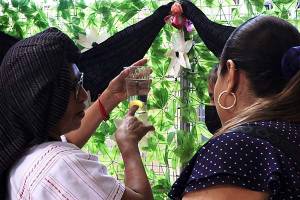 ¿Por qué la medicina tradicional es un baluarte de Puebla?