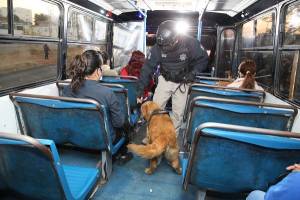 Implementa SSC Puebla operativos contra robo en transporte público