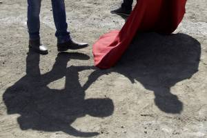 Movimiento Animalista de Puebla recibe amenazas ante postura contra corridas de toros