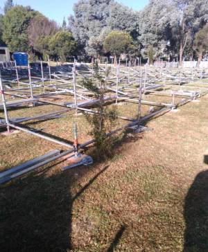 Organizadores del Festival Catrina obligados a entregar 400 pinos para mitigar daños en Parque Ecológico
