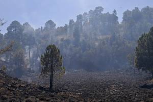 Puebla tendrá el mejor centro de monitoreo de incendios forestales del país: SMADSOT