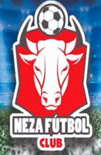 Toros Neza tendrá otra oportunidad de renacer en el futbol mexicano