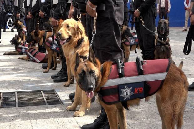 Con binomios caninos reforzará SSP Puebla seguridad en centros penitenciarios