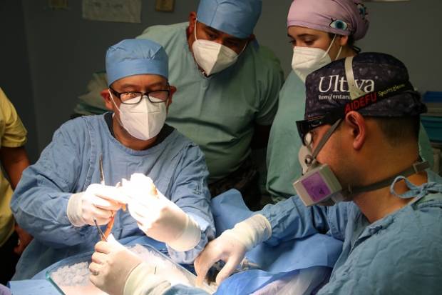 ISSSTEP realizó trasplante renal con éxito; el cuarto de 2022