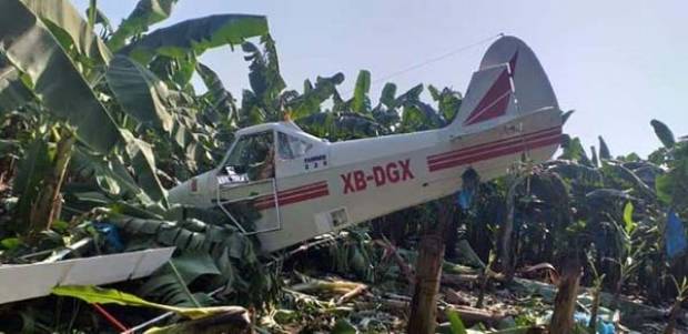 Avioneta cayó en plantíos de plátano de Chiapas