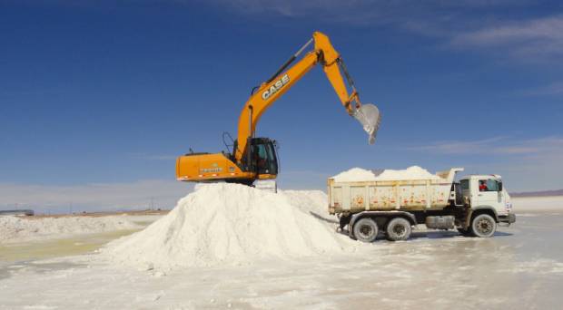 De 31 concesiones mineras para explotar litio, sólo una produce