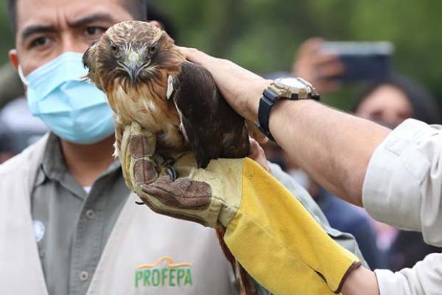 CONANP certifica a Flor del Bosque como Área de Conservación