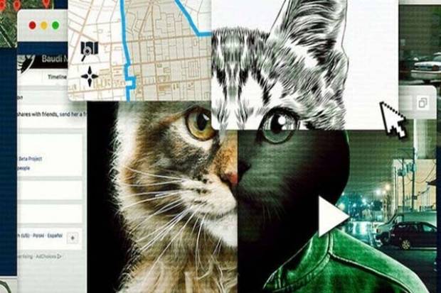 A los gatos ni tocarlos, el nuevo genial &quot;true crime&quot; de Netflix