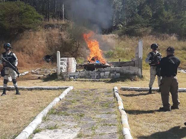 FGR incinera más de 50 kilogramos de droga en Puebla